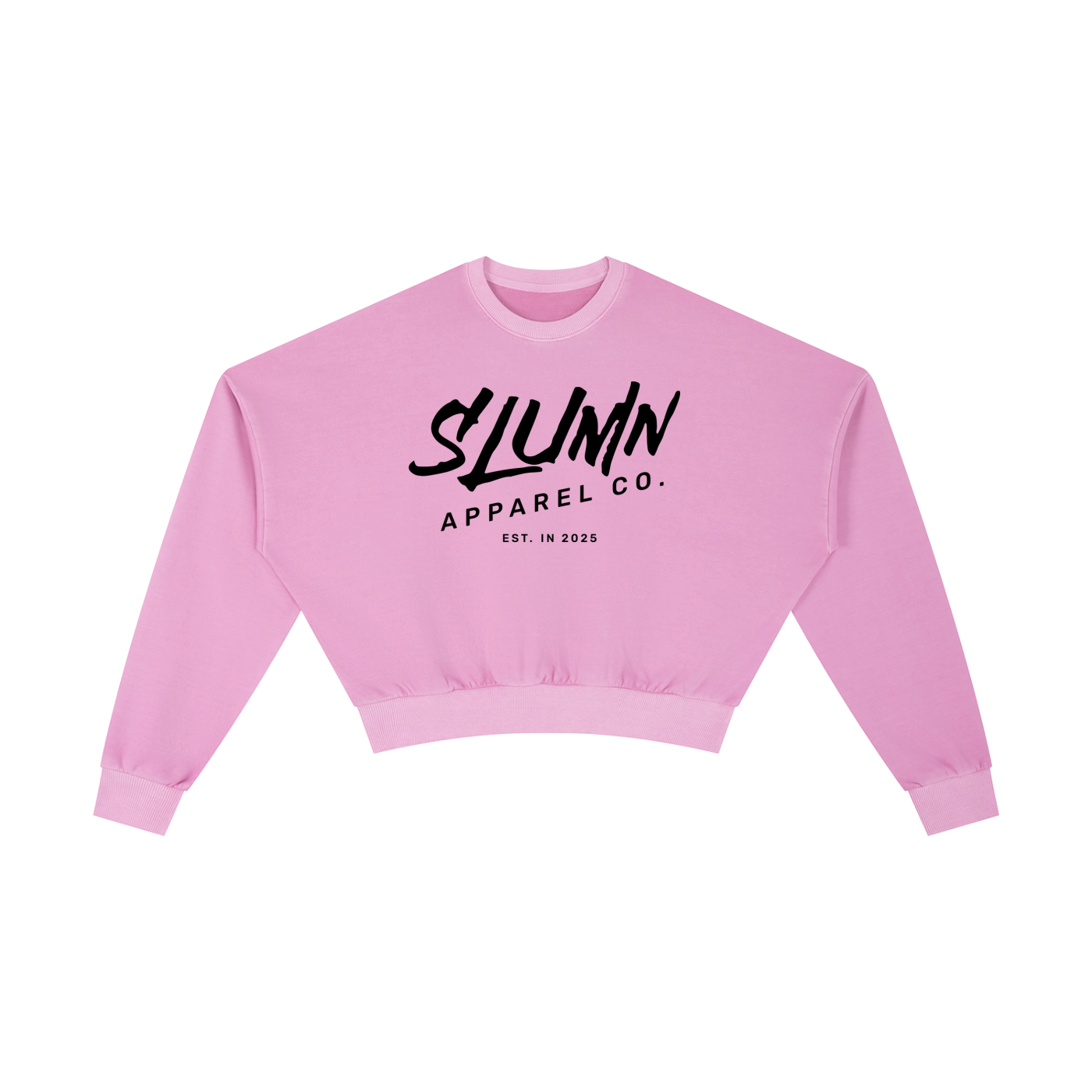 SLUMN shopping Vintage Washed Heavyweight Cropped Sweatshirt