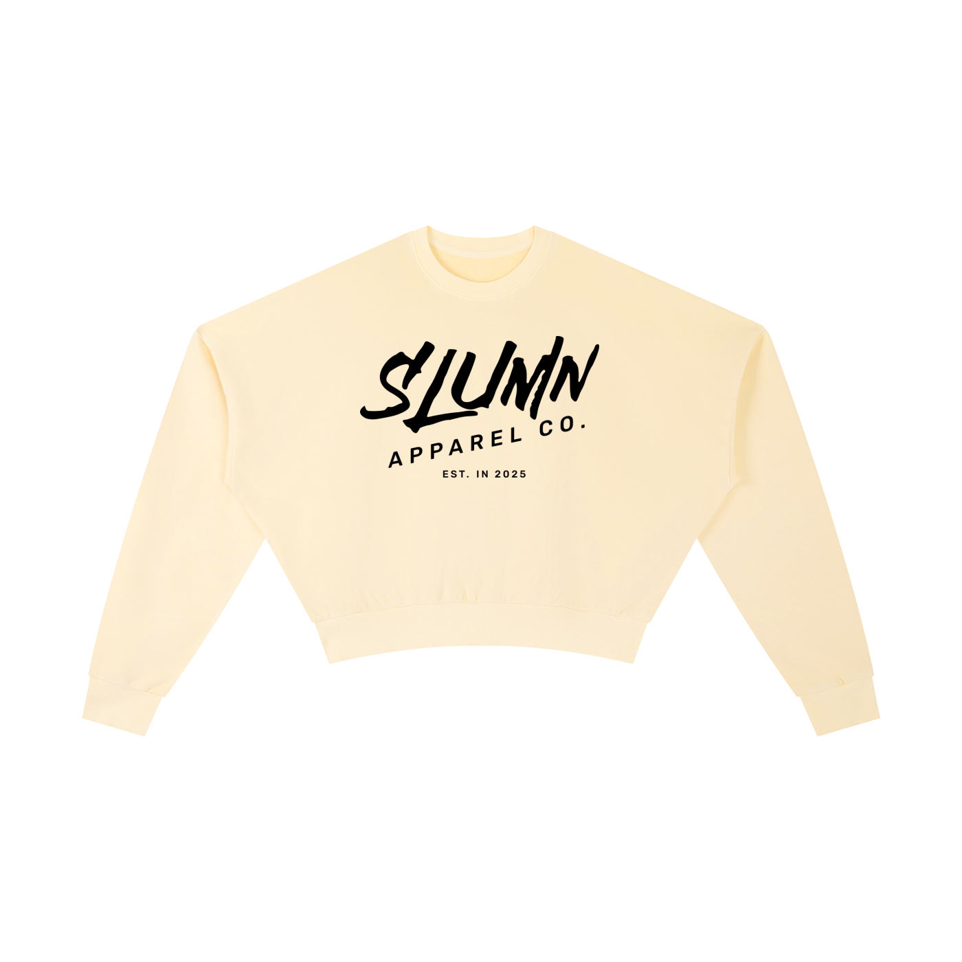 SLUMN shopping Vintage Washed Heavyweight Cropped Sweatshirt